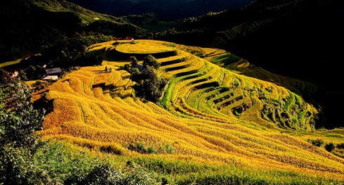 Yen Bai - eine Attraktion für den Tourismus im Nordwesten - ảnh 1